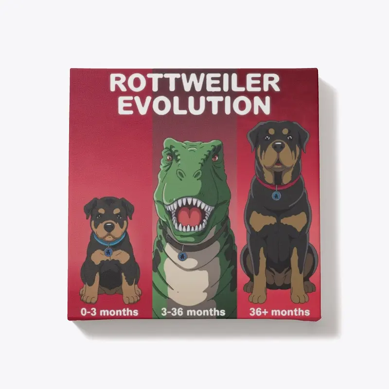 Rottweiler Evolution