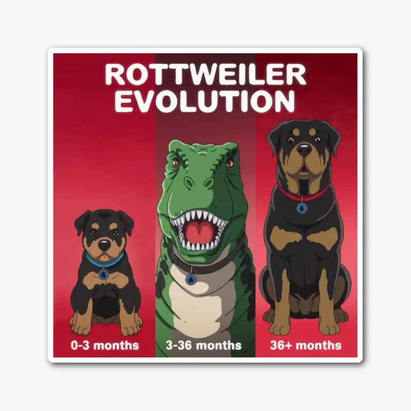 Rottweiler Evolution