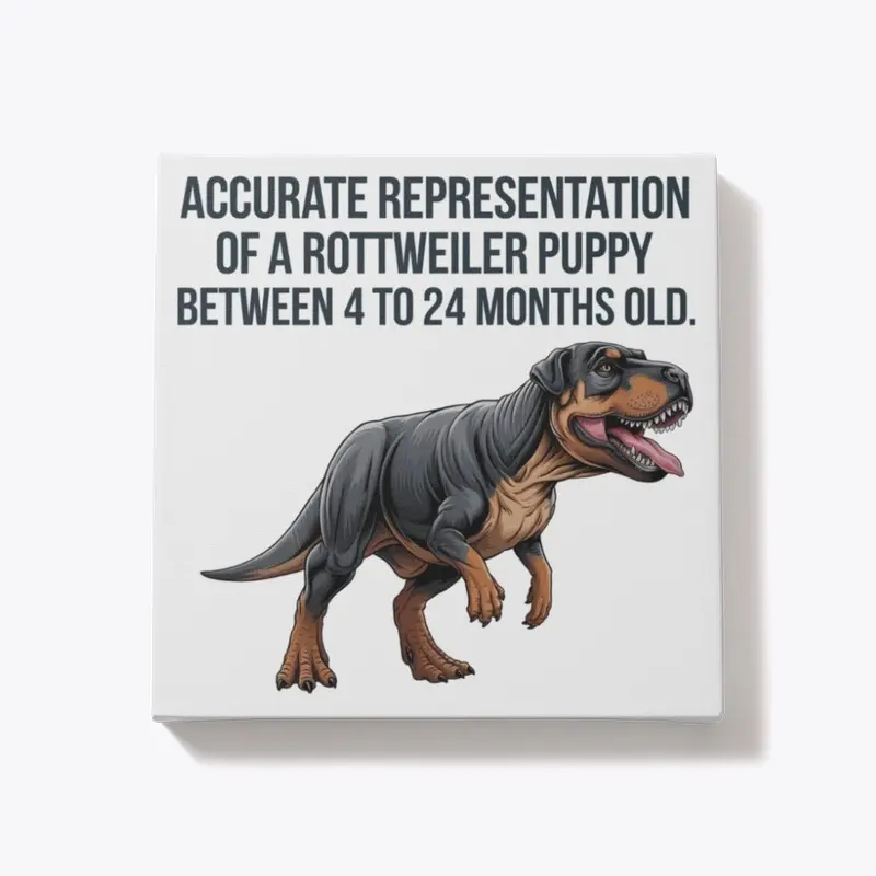 Rottweiler puppy as dinosaur